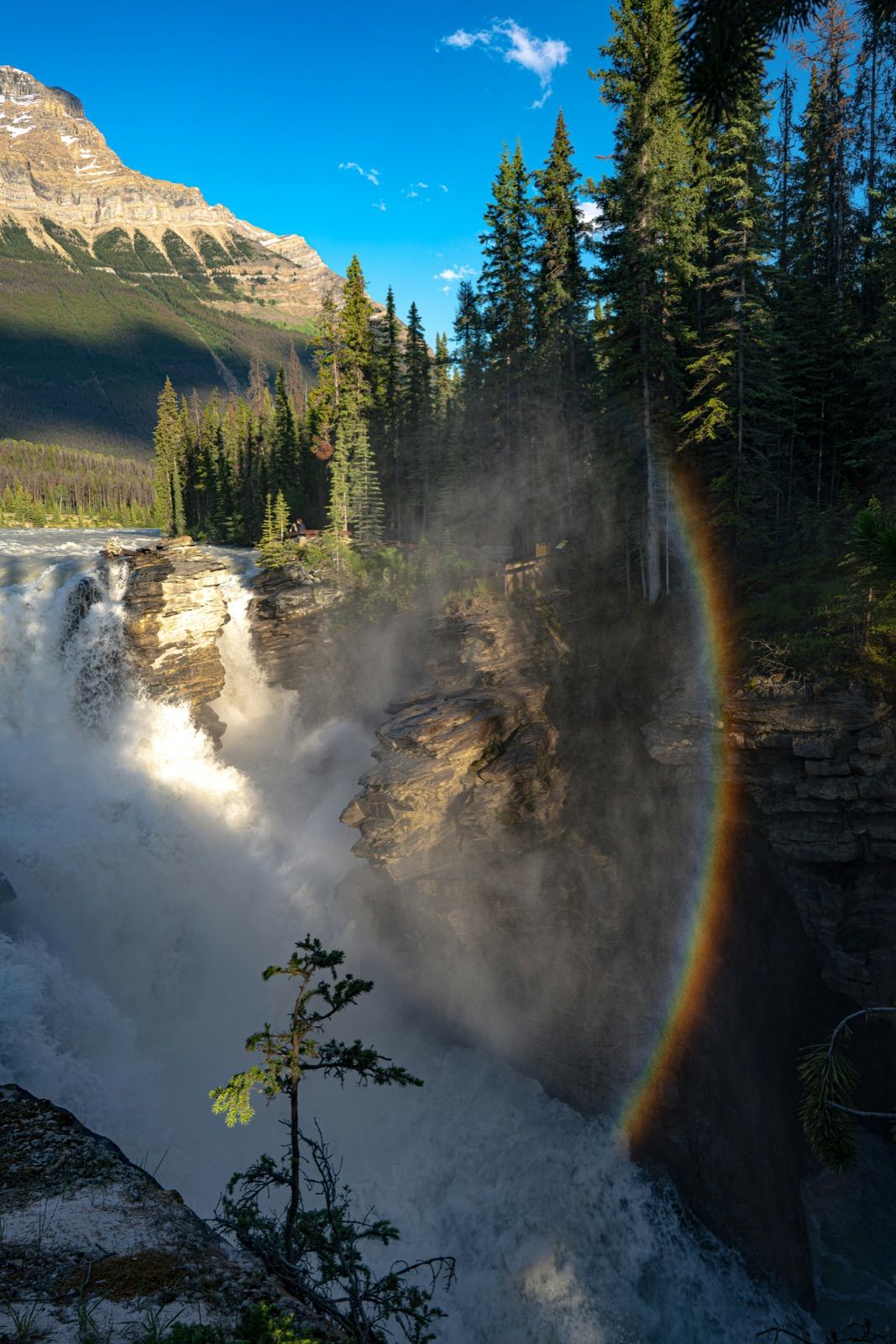 Rainbow over Athabasca Falls — Banff Journey Icefields Parkway tour