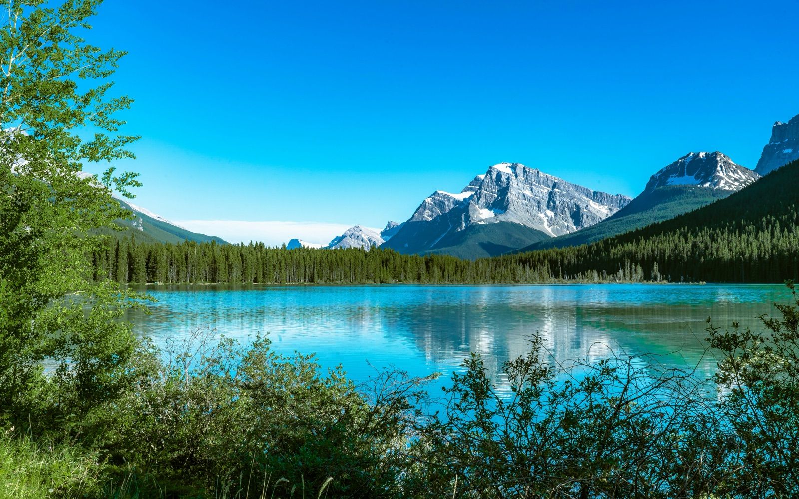 Turquoise Bow Lake — Banff Journey Icefields Parkway tour