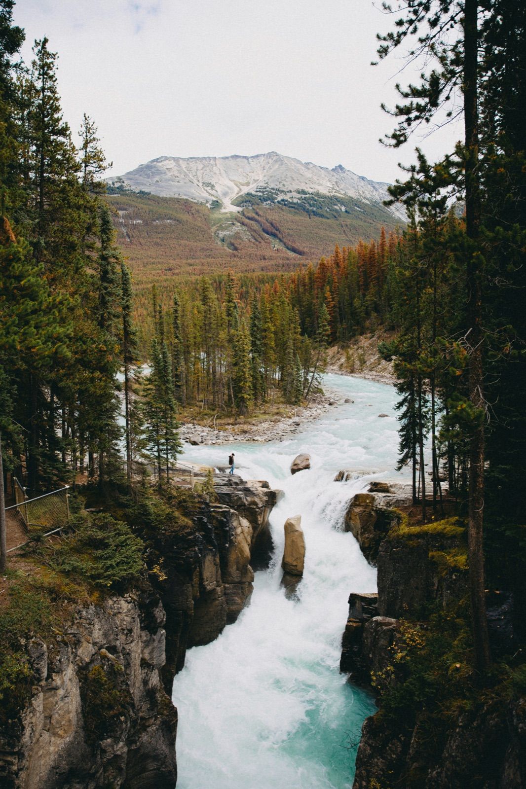 Sunwapta Falls — Banff Journey Icefields Parkway tour