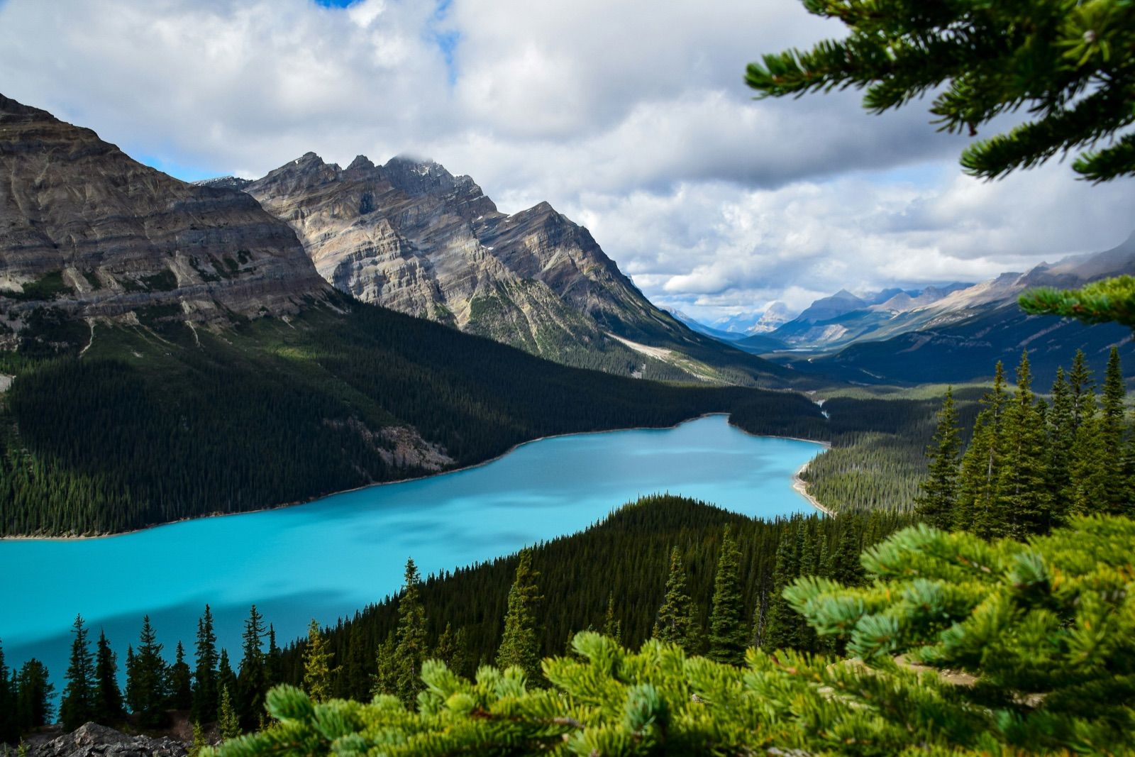 Wolf-head-shaped turquoise Peyto Lake — Banff Journey Columbia Icefield tour