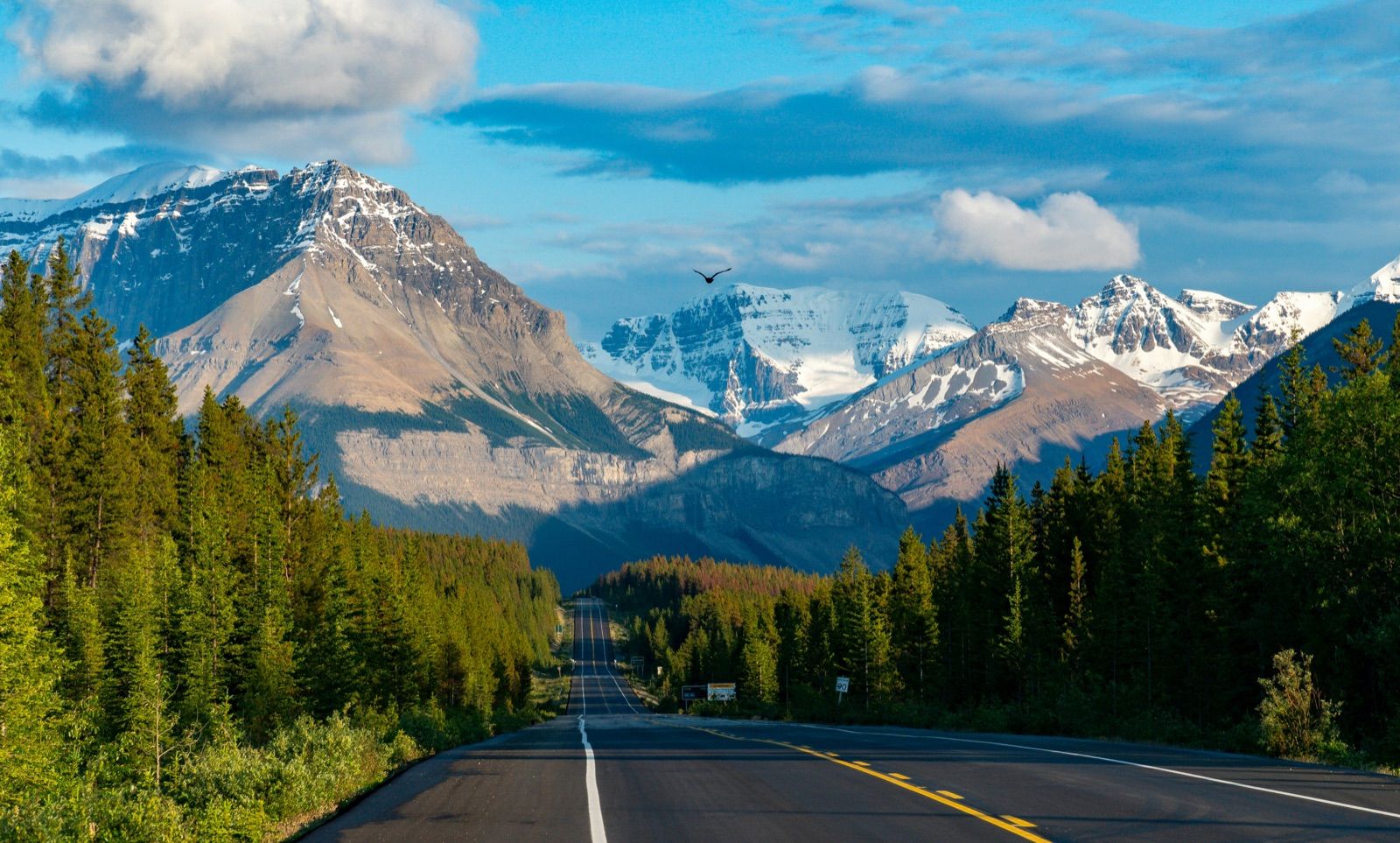 The Icefields Parkway winding through the mountains — Banff Journey Icefields Parkway tour