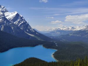 peyto lake