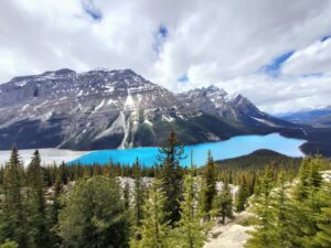 Peyto lake